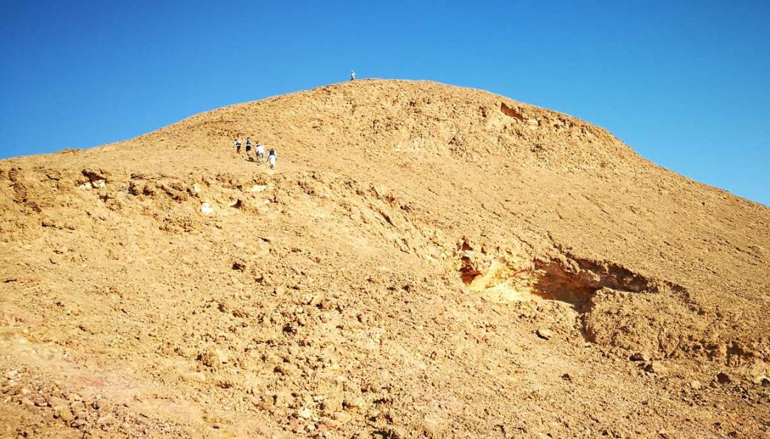 parco-wadi-el-gemal-deserto-trekking