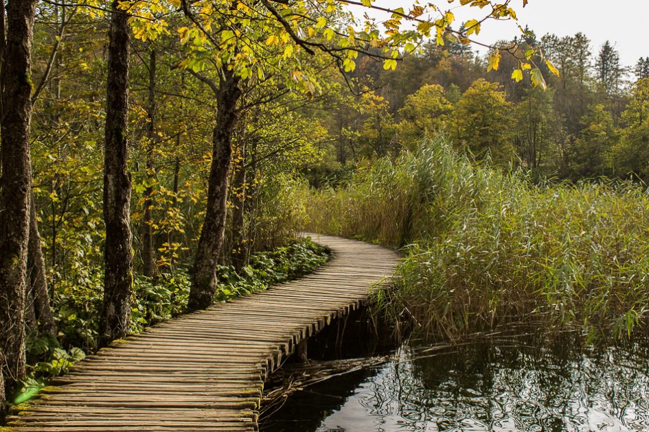 Colori d'autunno ai laghi di Plitvice, le migliori destinazioni europee da visitare in autunno
